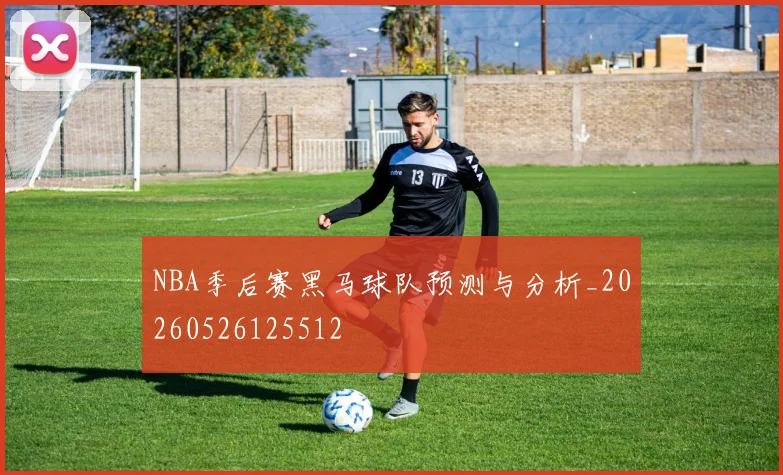 NBA季后赛黑马球队预测与分析_20260526125512
