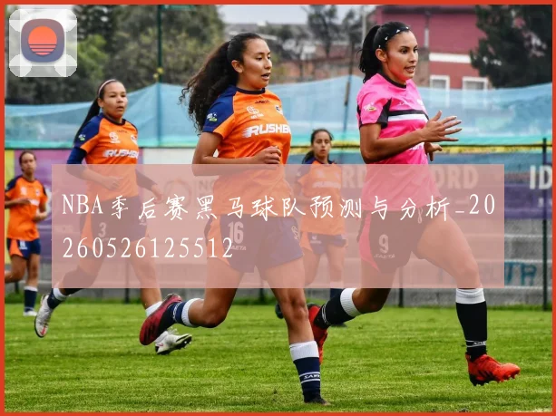 NBA季后赛黑马球队预测与分析_20260526125512
