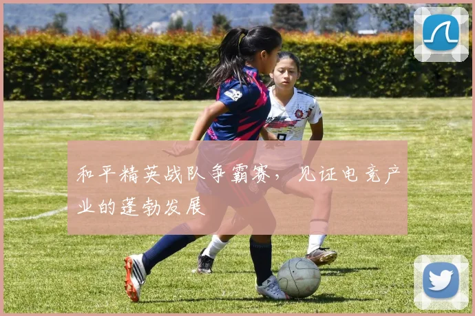 和平精英战队争霸赛，见证电竞产业的蓬勃发展