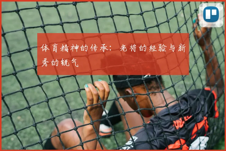 体育精神的传承：老将的经验与新秀的锐气