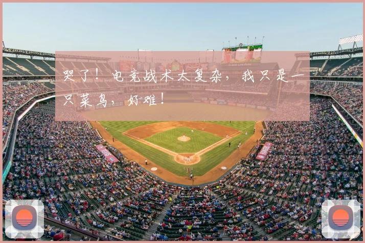 哭了！电竞战术太复杂，我只是一只菜鸟，好难！