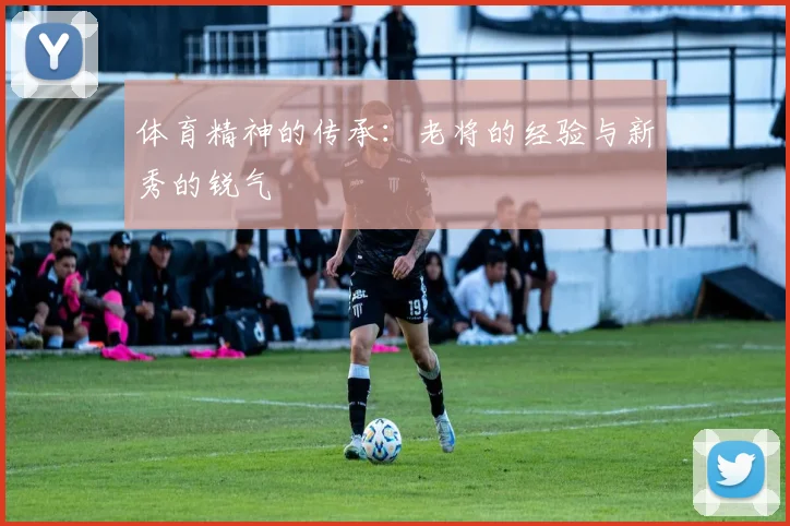 体育精神的传承：老将的经验与新秀的锐气